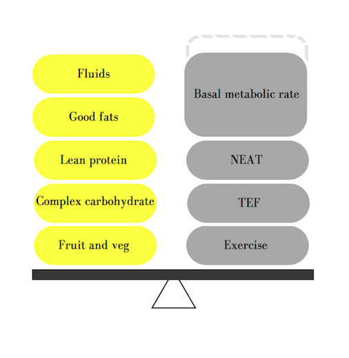 developing-lean-muscle-mass-what-why-and-how-cp-r