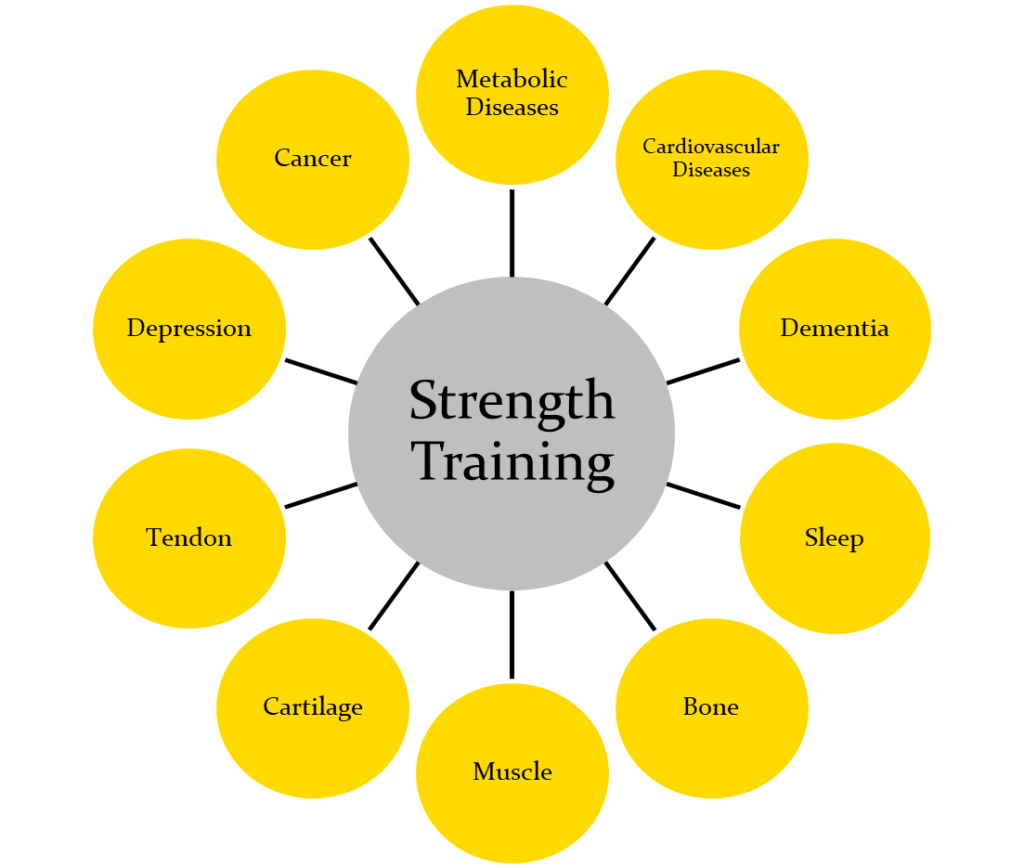 what-are-the-benefits-of-strength-training