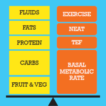 Energybalace_Scale